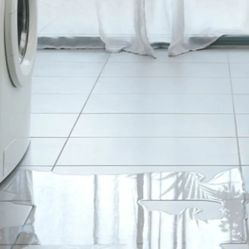 Appliance Leak Cleanup in Dalton, GA