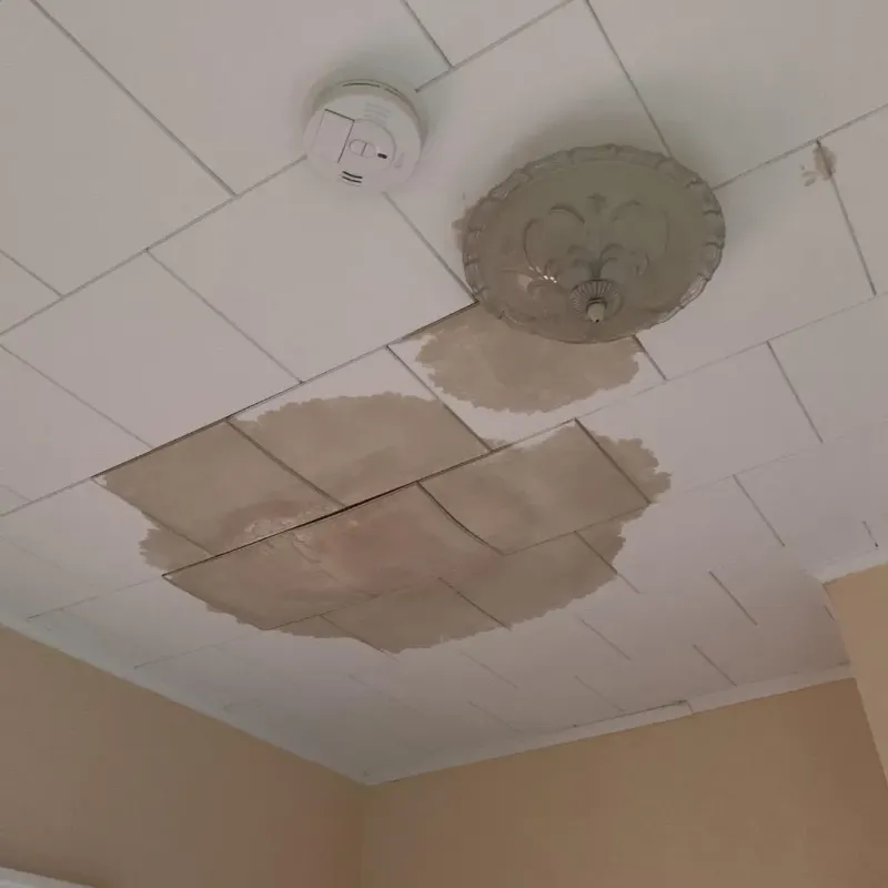 Ceiling Water Damage Repair in Dalton, GA